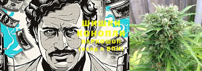 KRAKEN маркетплейс  Богородск  Конопля White Widow 